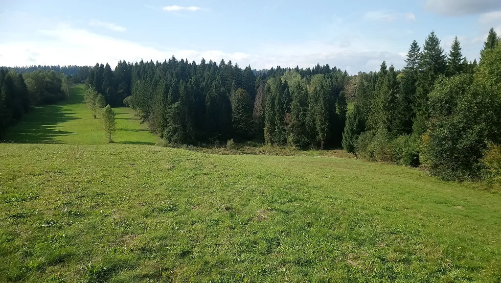widok