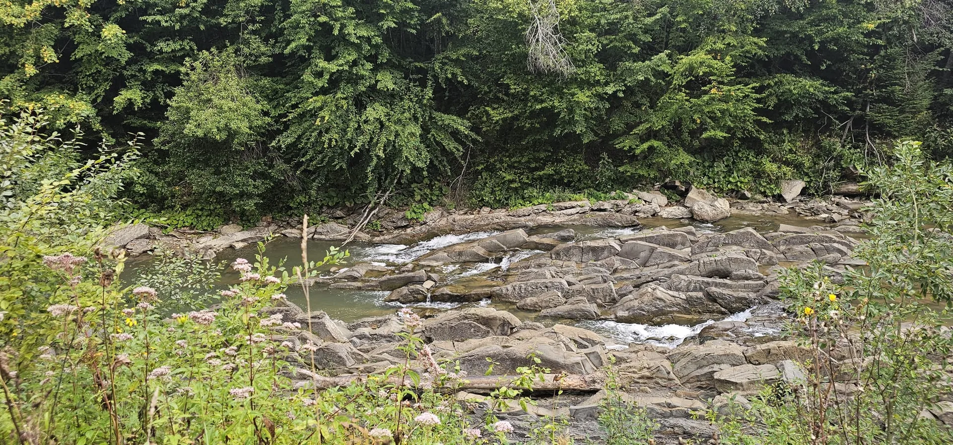 sine wiry bieszczady