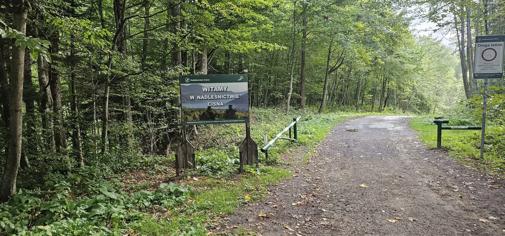 sine wiry bieszczady