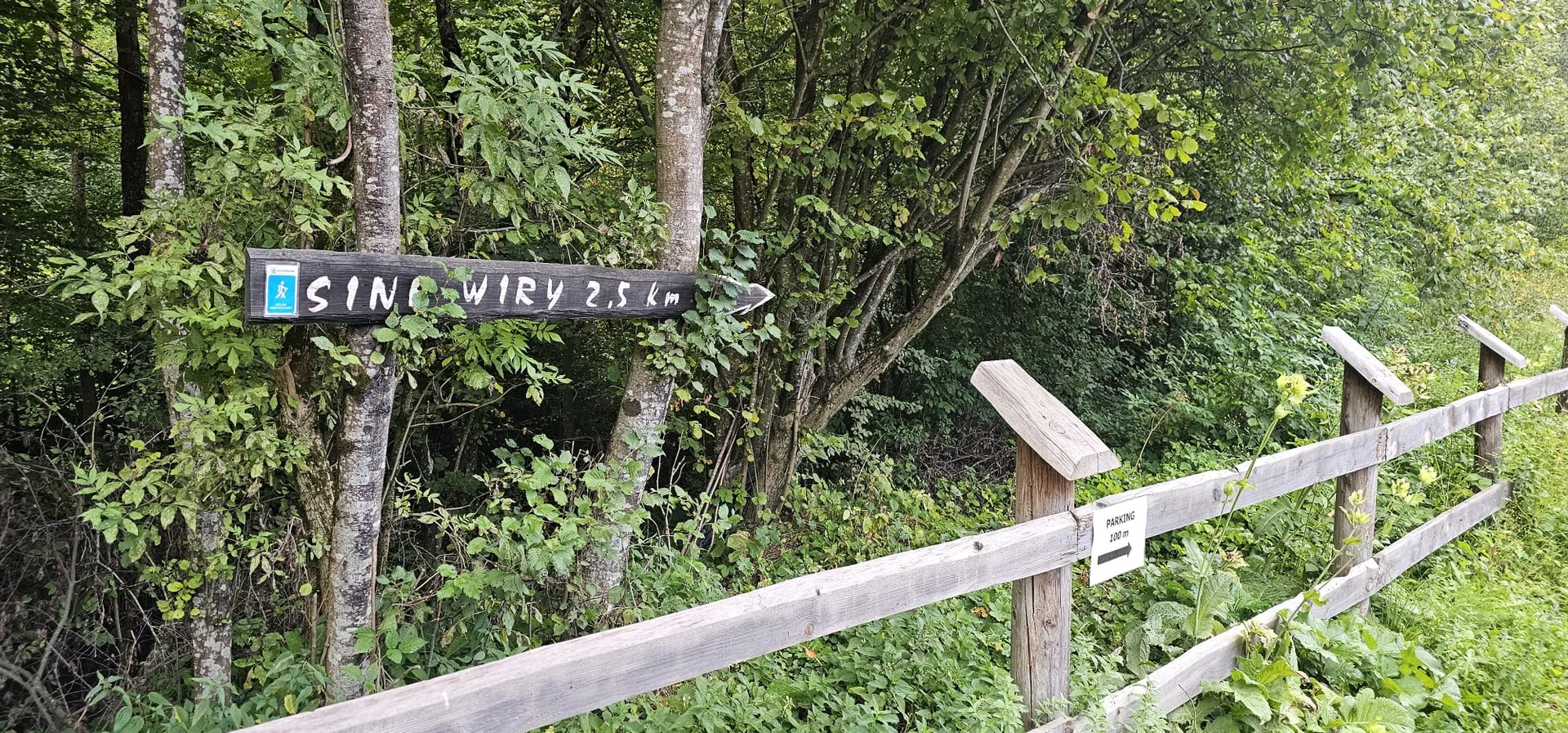 sine wiry bieszczady