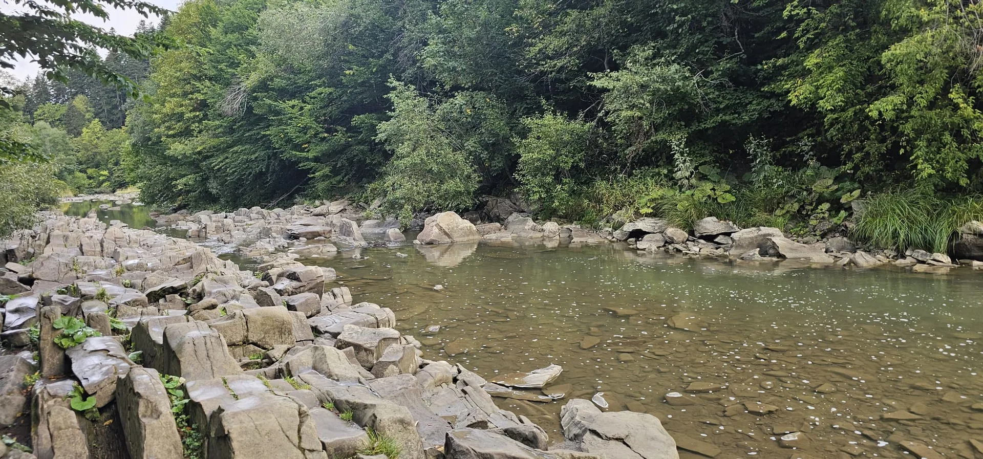 sine wiry bieszczady