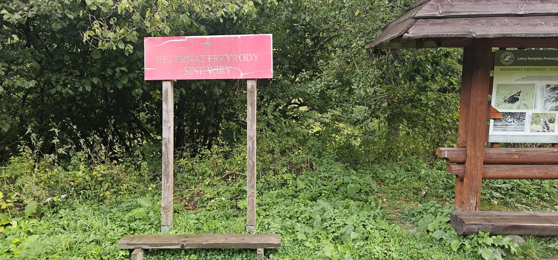 sine wiry bieszczady