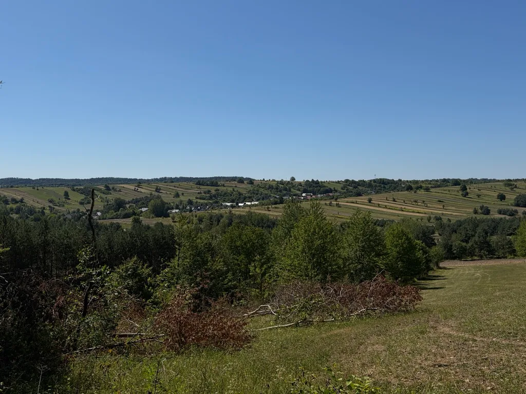 Krajobraz Roztocza