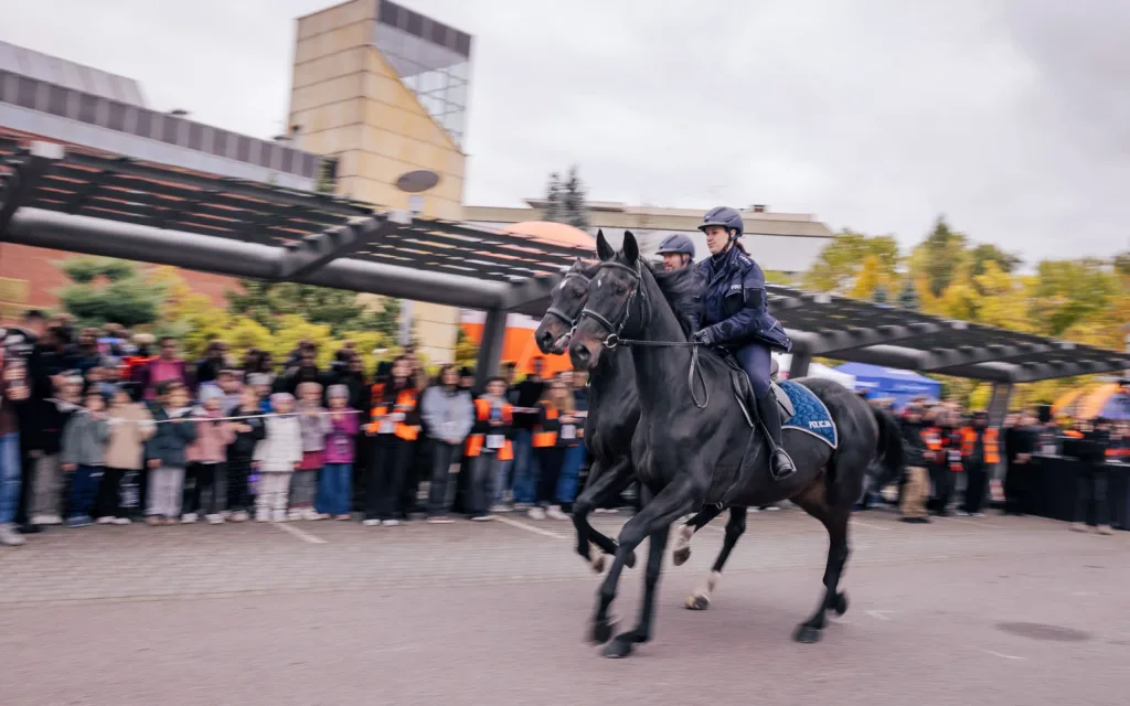 policja konna na pokazie