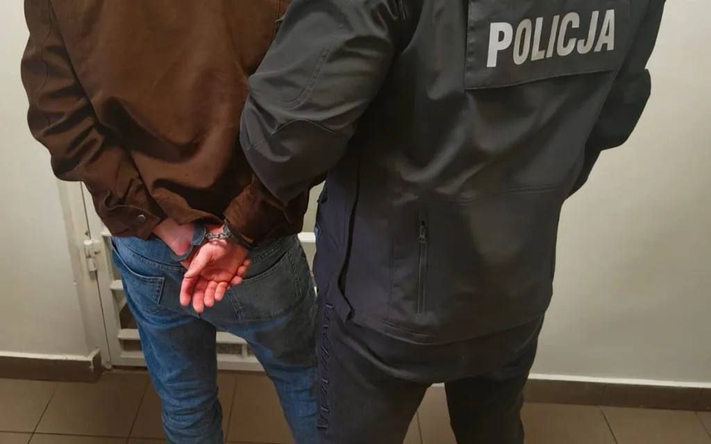 31-letni wandal w rękach policji